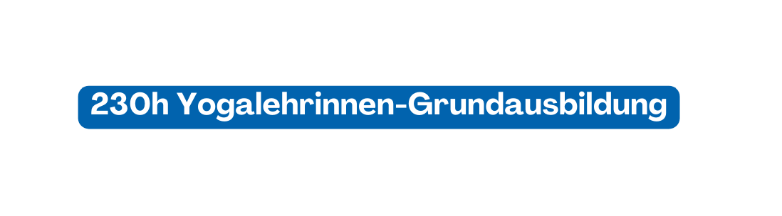 230h Yogalehrinnen Grundausbildung