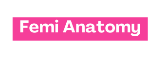 Femi Anatomy